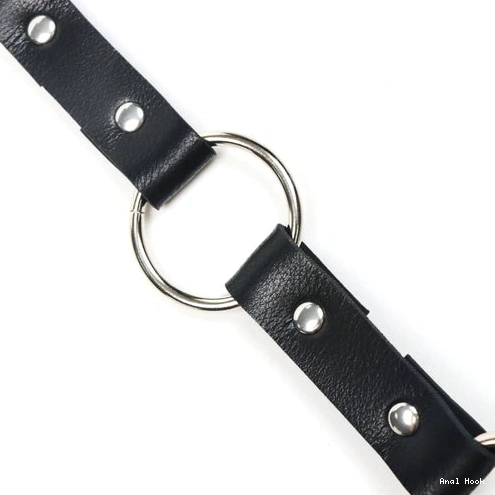and with EverydayUse 5853 Anal Collar Kinky Leash Hook 1022